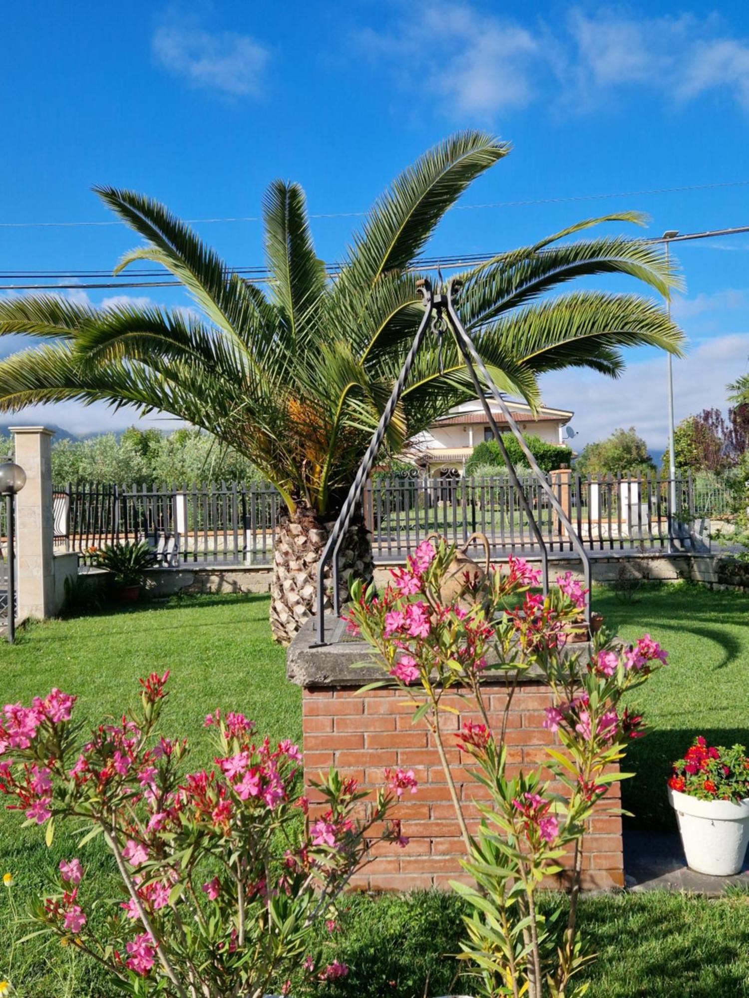 Relax In Campagna - Aquino Apartment Exterior photo